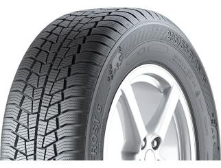 Padangos GISLAVED EURO FROST 6 165/65 R14 79 T