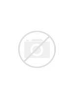 HANKOOK MF54321 45 AH 450 EN