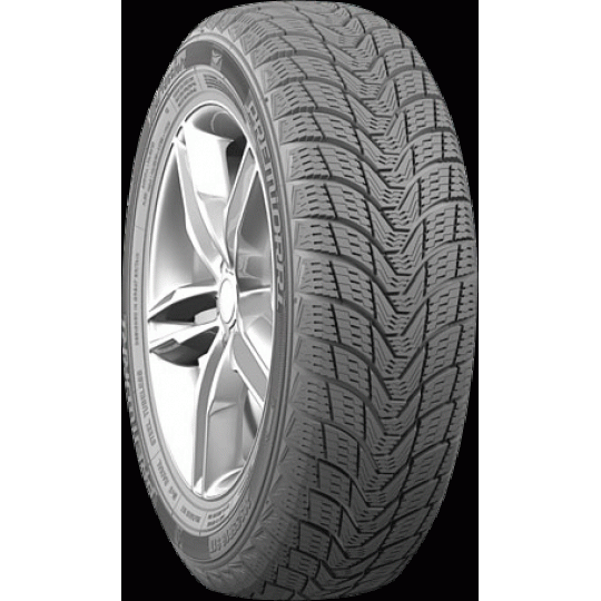 Padangos PREMIORRI VIAMAGGIORE 175/70 R13 82 T