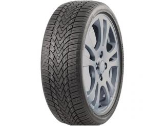 Padangos ROADMARCH WINTERXPRO 888 255/40 R18 99 H