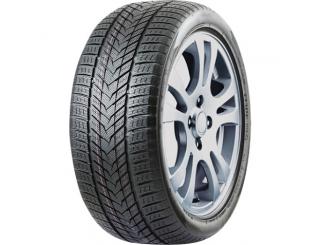Padangos ROADMARCH WINTERXPRO 999 275/50 R21 113 H